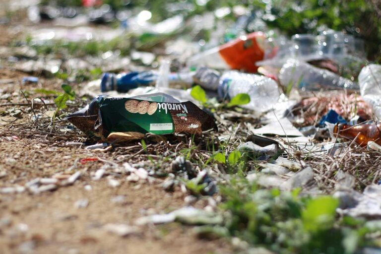 d5-road-trash